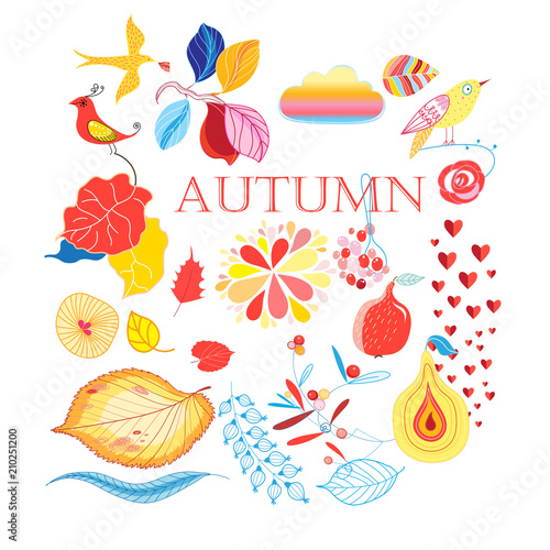 Bright collection of autumn elements