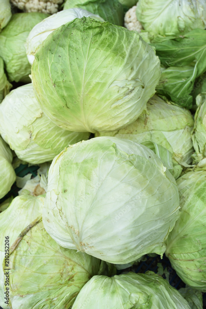 Group of green cabbages at market in Taiwan. Group of green cabbages at market in Taiwan.