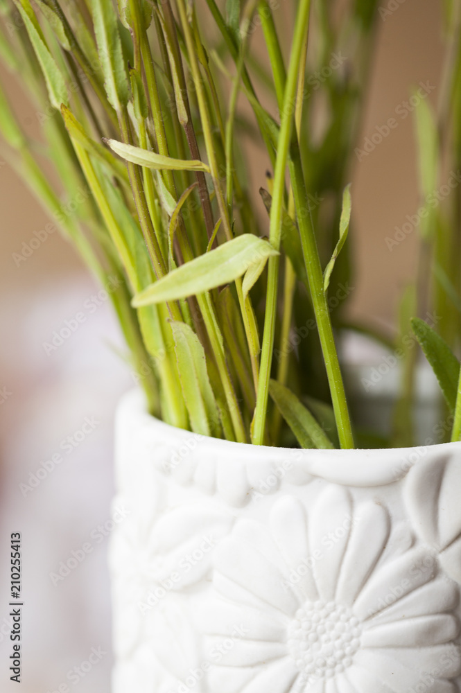 grren plant in white vase