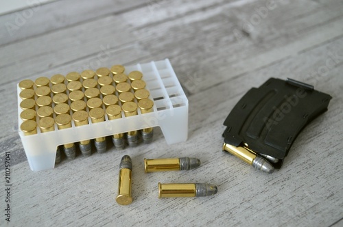 22lr ammunition photo