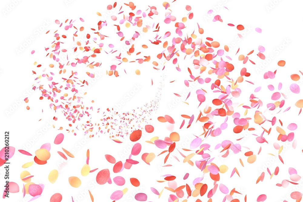 Colorful Flower Petals Colorful Flower Petals