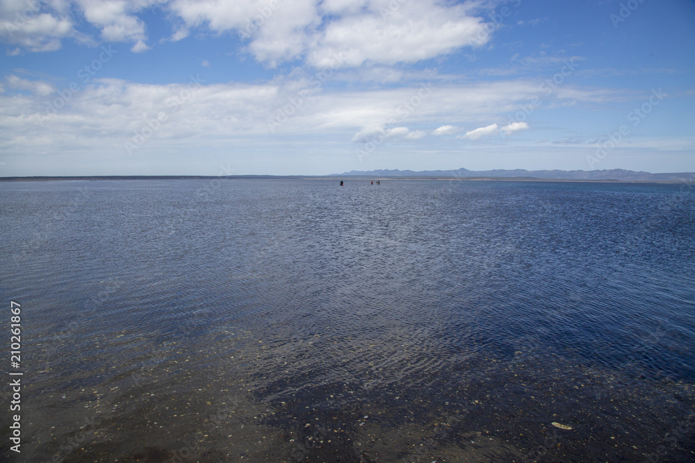 Fototapeta premium on the shore of a shallow lake