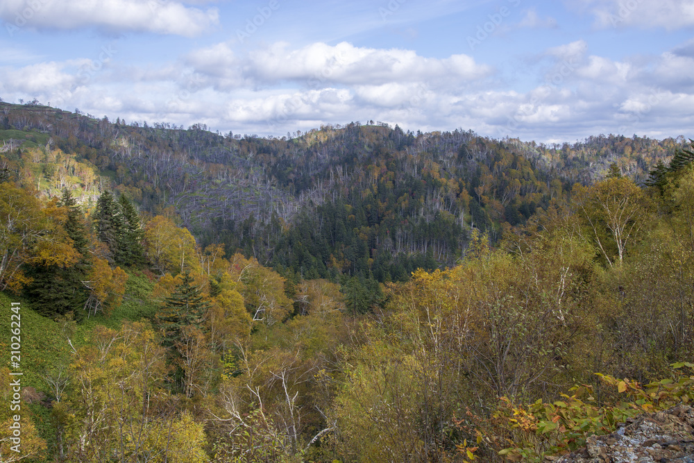 nature of the mountains