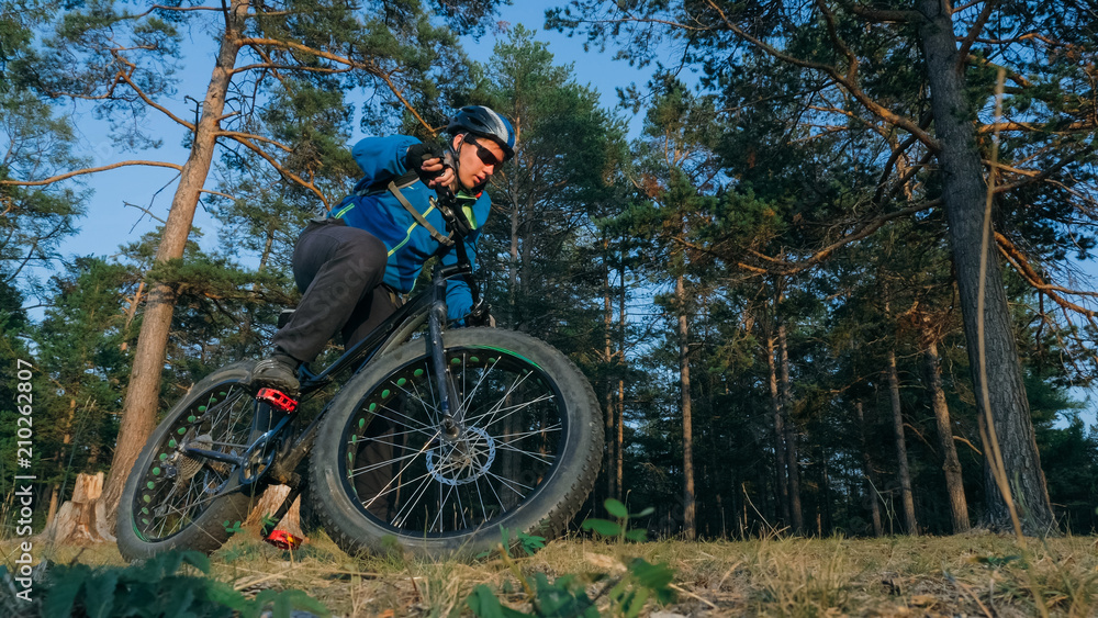 Naklejka premium Fat bike also called fatbike or fat-tire bike in summer riding in the forest. The guy rides a bicycle on the forest soil. It goes into a controlled skid by the rear wheel. The dust and sand fly into