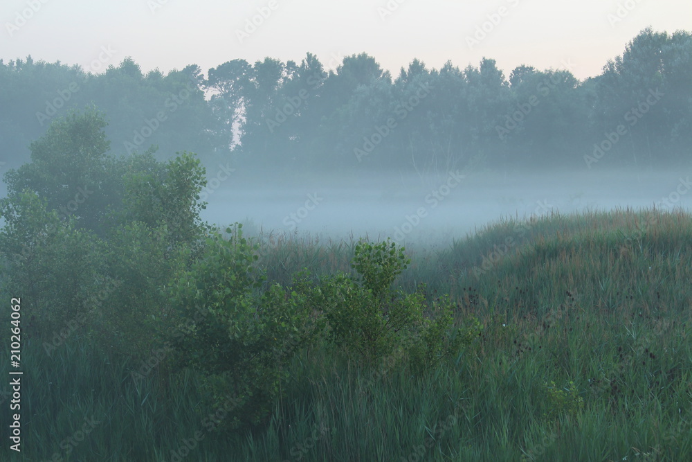 Fototapeta premium Fog in countryside, South-East of France