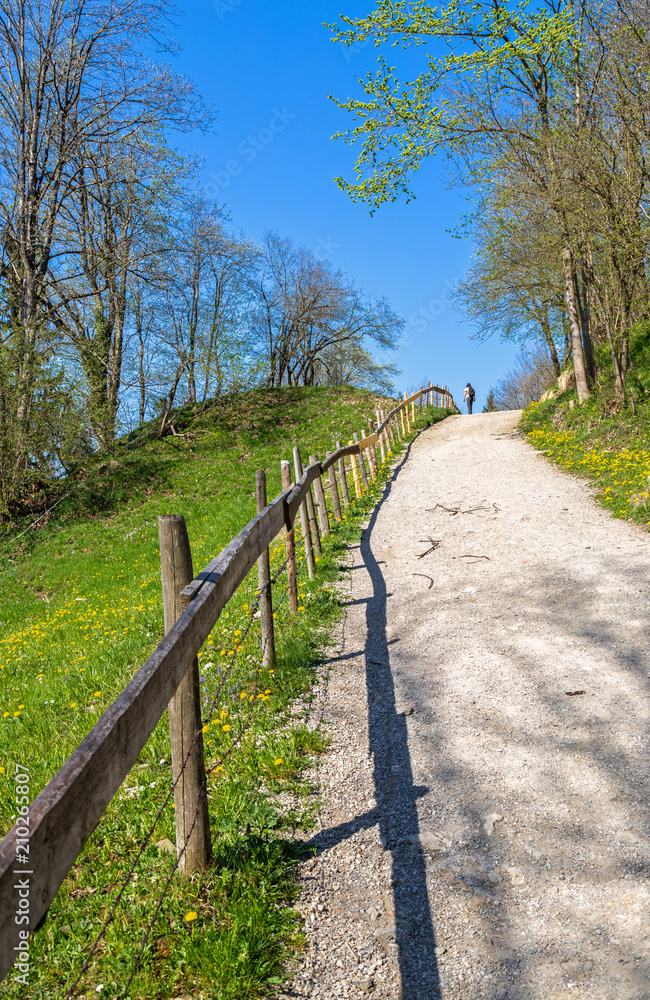 Fototapeta premium Auf einem Wanderweg im Allgäu 