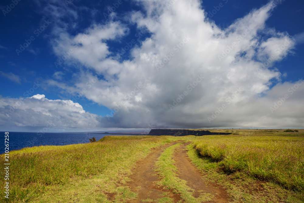 Obraz premium Big island