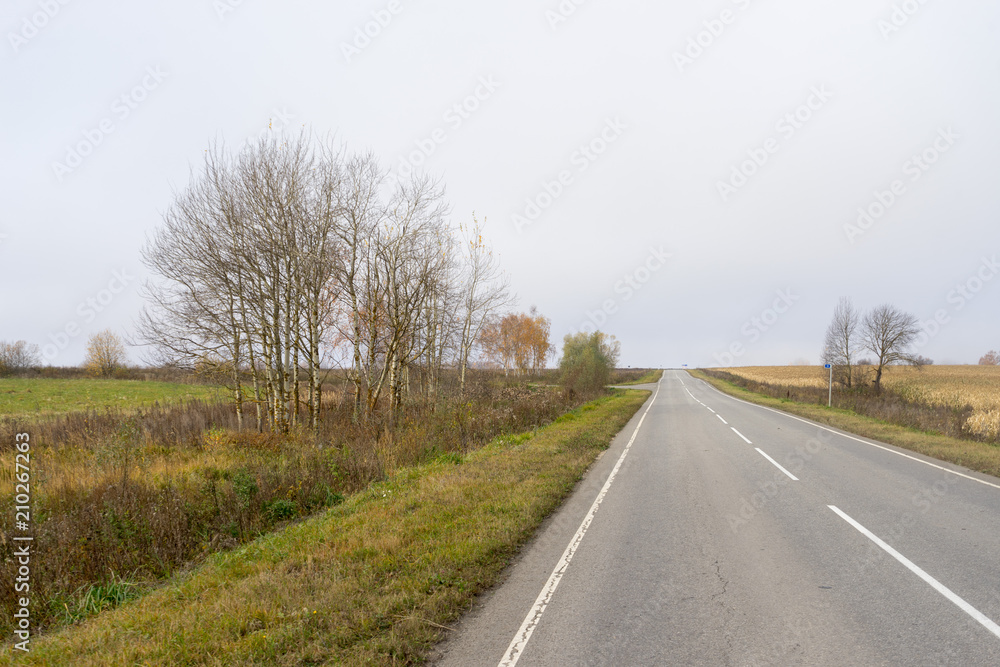 Fototapeta premium Straight modern highway vanishing in horizon in morning fog