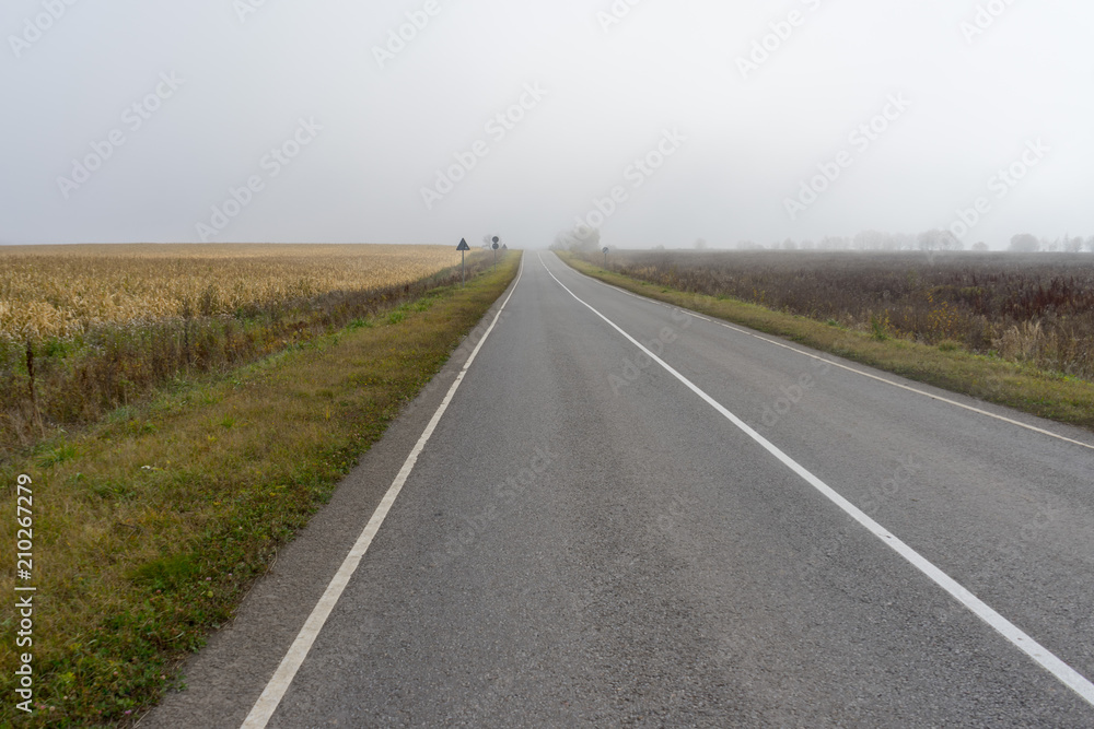 Straight modern highway vanishing in horizon in morning fog Straight modern highway vanishing in horizon in morning fog