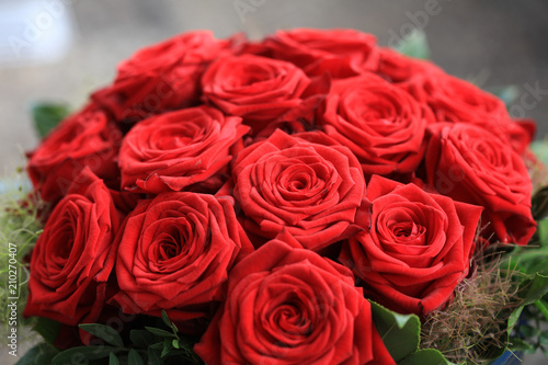 A Bouquet of wonderful red Roses