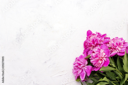 Pink peonies on a light stone background. Flat lay, top view