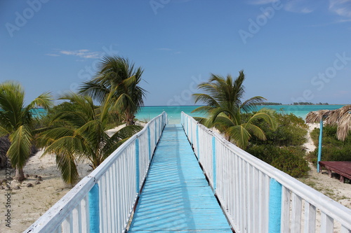 Wooden bridge that leads to the beach with palm trees, on the island of Cuba