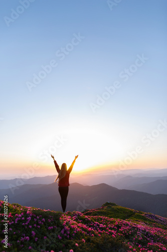 Hiker woman standing with hands up achieving the top. Girl welcomes a sun. Successful woman hiker open arms on sunrise mountain top. Magic pink rhododendron flowers on summer mountains © Serhii