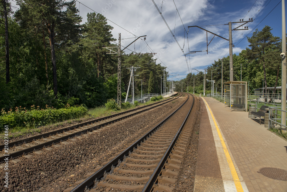 railroad tracks in the forest