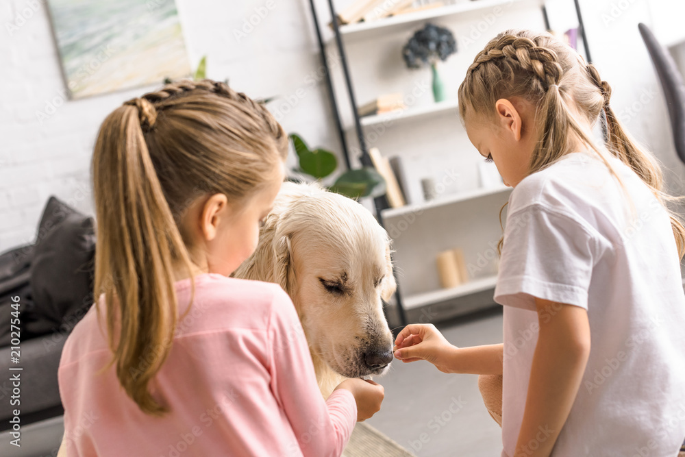 little kids feeding golden retriever dog with treats at home