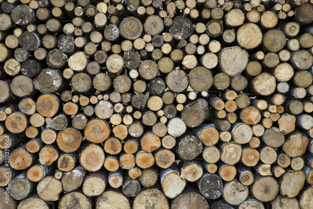 stack of firewood