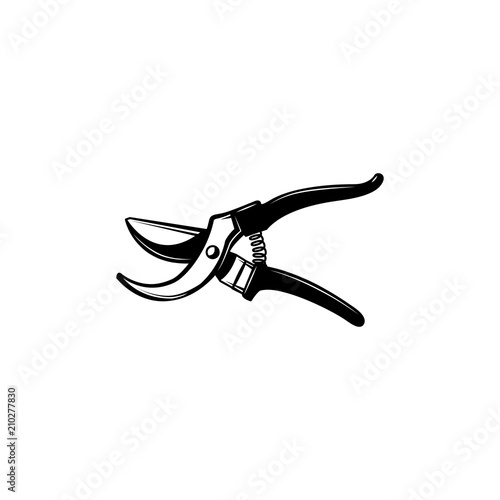 Hand pruners - gardening and farming tool for pruning branches of trees and shrubs isolated on white background. Secateurs monochrome silhouette in vector illustration. photo