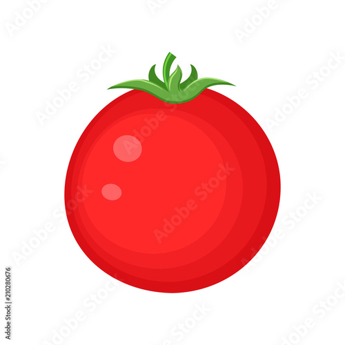 Colorful red tomato vegetable vector illustration isolated on wh