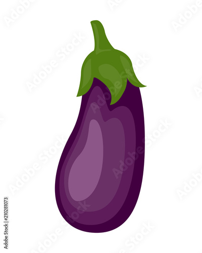 Colorful eggplant vector illustration isolated on white backgrou