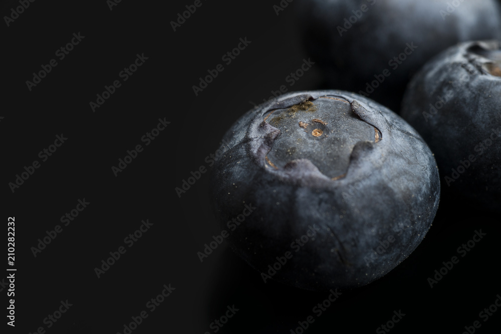 Black background with a blueberry closeup Black background with a blueberry closeup