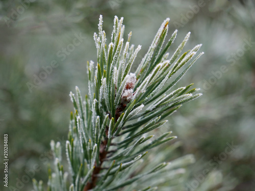 winter