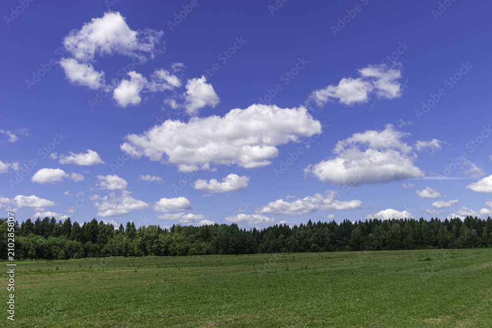 Rustic summer landscape. Fields and beautiful white clouds on a blue sky