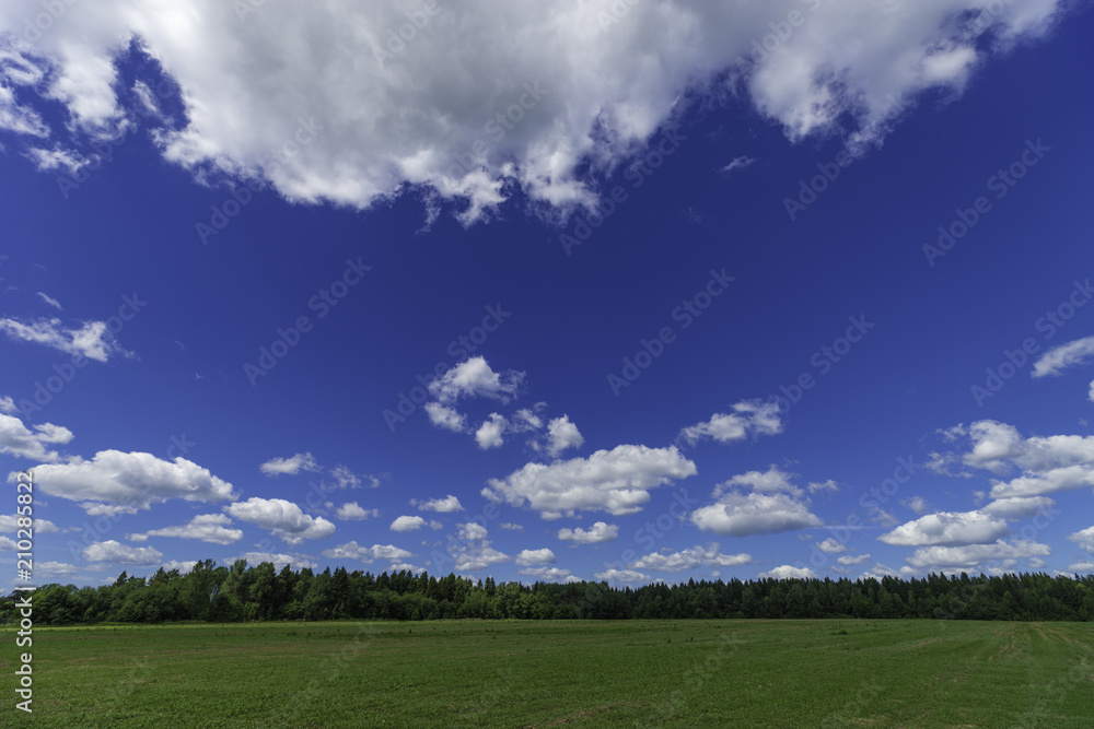 Rustic summer landscape. Fields and beautiful white clouds on a blue sky Rustic summer landscape. Fields and beautiful white clouds on a blue sky
