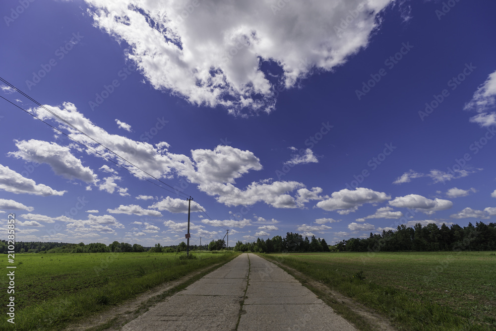 Asphalt road in the forest