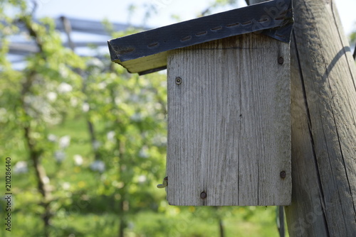 Wooden birdhouse in the foreground of an apple orchard photo