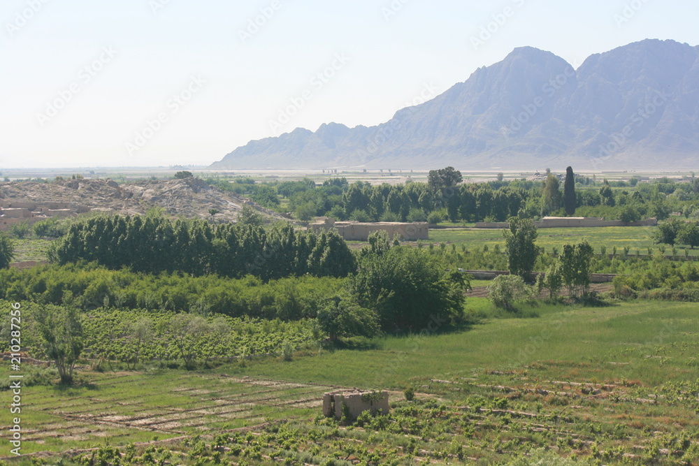 Farmland in Kandahar, Afghanistan