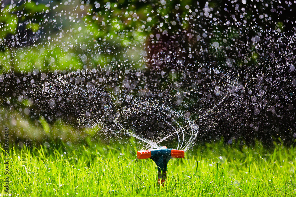 Obraz premium Rotating garden sprinkler watering grass