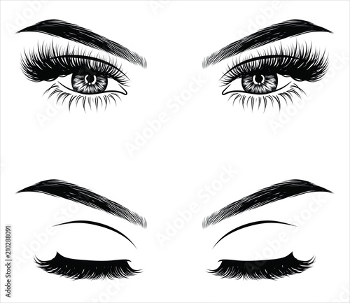 Hand-drawn woman's sexy makeup look with perfectly perfectly shaped eyebrows and extra full lashes. Idea for business visit card, typography vector. Perfect salon look