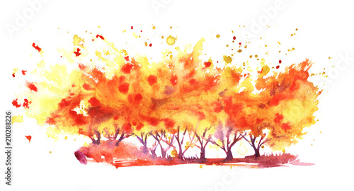 A bright orange formless watercolor blot and trees silhouette 