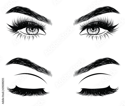 Hand-drawn woman's sexy makeup look with perfectly perfectly shaped eyebrows and extra full lashes. Idea for business visit card, typography vector. Perfect salon look
