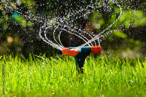 Obraz na płótnie Garden sprinkler watering grass w salonie