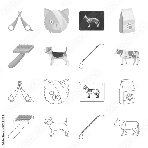 Dog, cow, cattle, pet .Vet Clinic set collection icons in outline,monochrome style vector symbol stock illustration web.