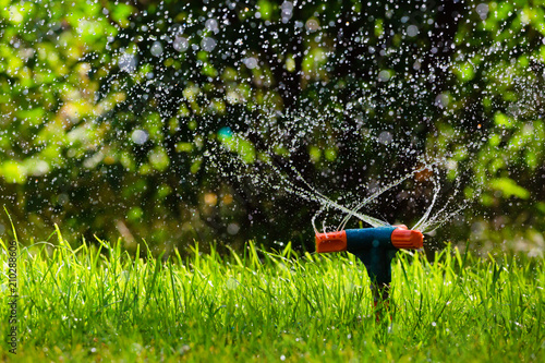 Rotating garden sprinkler watering grass
