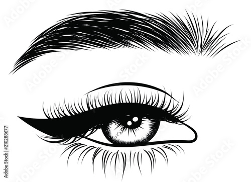 Hand-drawn woman's sexy makeup look with perfectly perfectly shaped eyebrows and extra full lashes. Idea for business visit card, typography vector. Perfect salon look