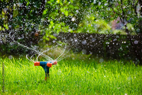 Rotating garden sprinkler watering grass