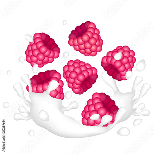 Red ripe raspberry and a splash of milk or yogurt on a white background.