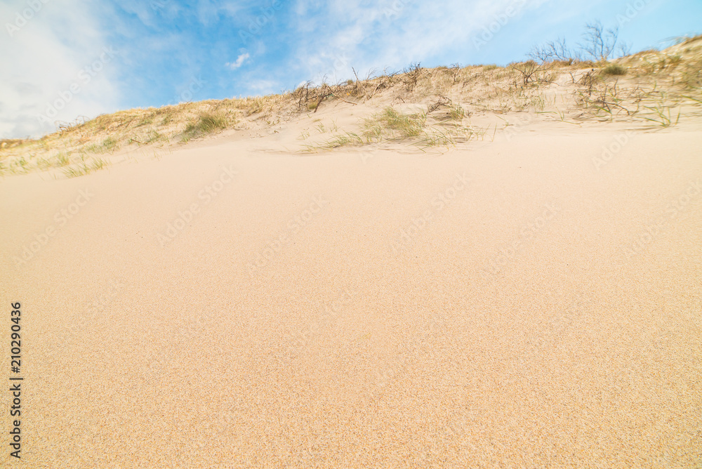 View of the dunes in Nida, Neringa, Lithuania. A popular destination in Europe in Lithuania. The huge dunes covering the end of the Curonian Spit are included in the UNESCO world heritage