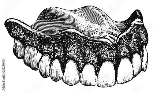 dental prosthesis historically #vector #isolated Zahn Prothese historisch / Zahnersatz