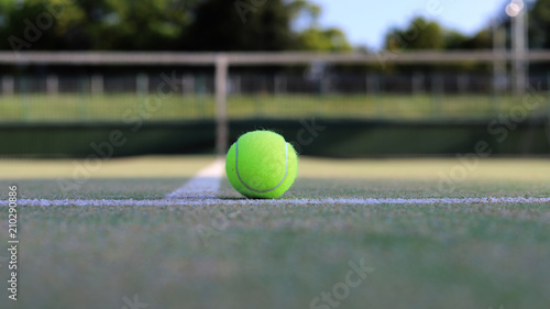 テニスコート © DOUBLE BAGEL