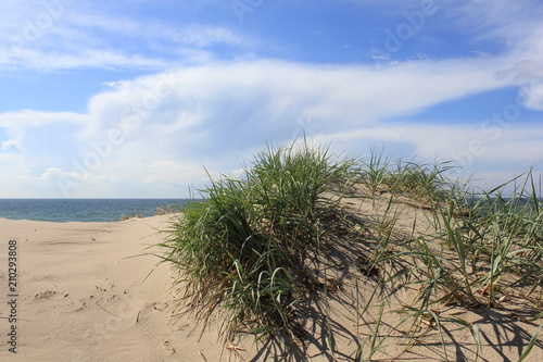 Wallpaper Mural Dünen Torontodigital.ca