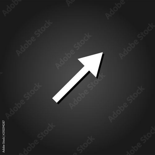 Arrow icon flat. Simple White pictogram on black background with shadow. Vector illustration symbol © Liuart