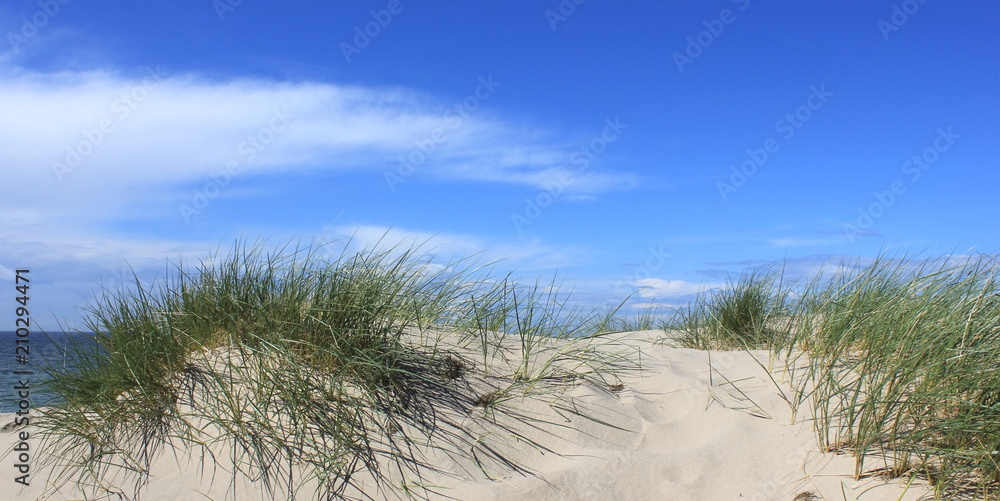 Dünenpanorama Dünenpanorama