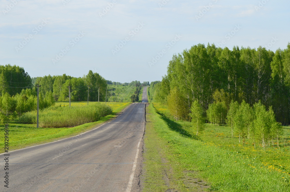 Fototapeta premium road