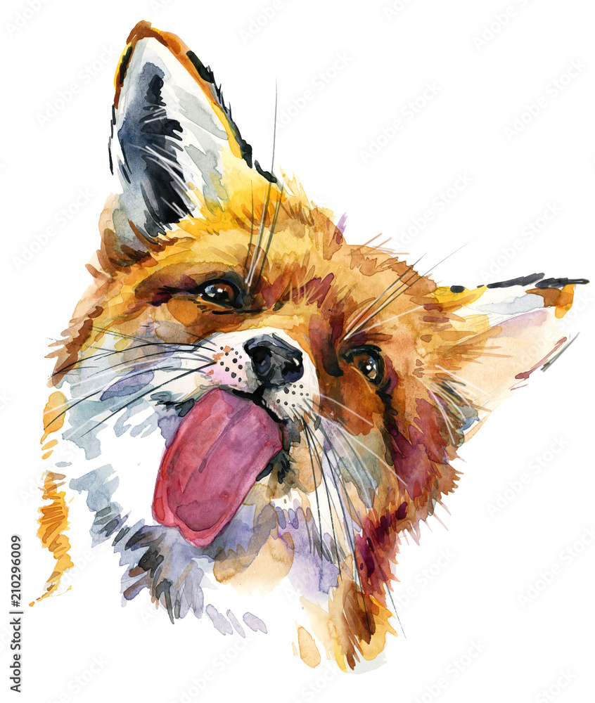 cute fox watercolor hand drawn illustration. Stock Illustration | Adobe ...