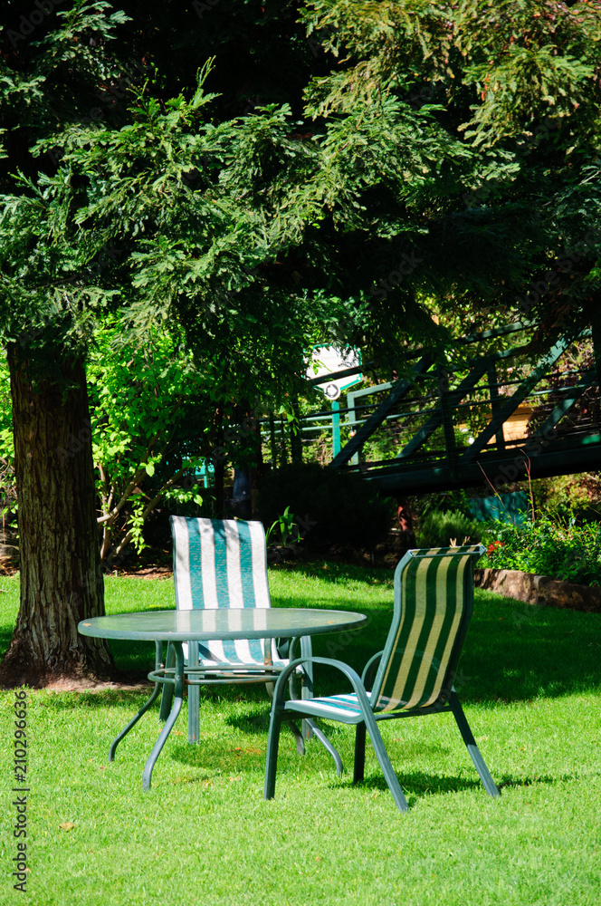 Green summer backyard garden with grass, table and chairs Green summer backyard garden with grass, table and chairs