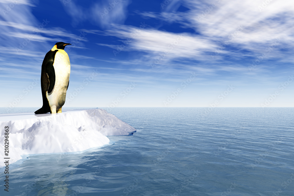 Fototapeta premium Antarctic penguin on ice